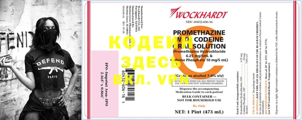 дживик Белокуриха
