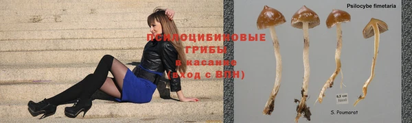 мдма Болохово