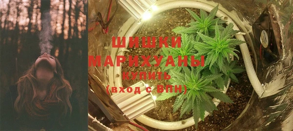 дживик Белокуриха