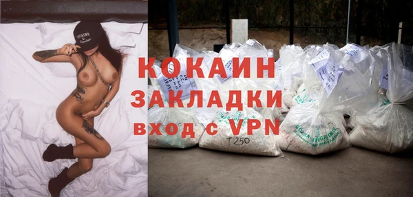 дживик Белокуриха